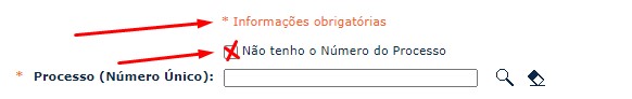 Passo 4 - Não tenho número do processo